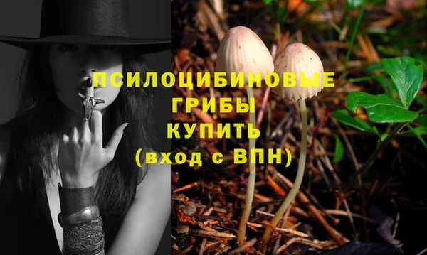 а пвп мука Балабаново