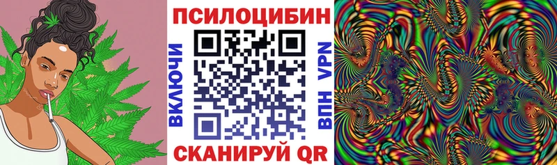 Псилоцибиновые грибы ЛСД  Боготол 